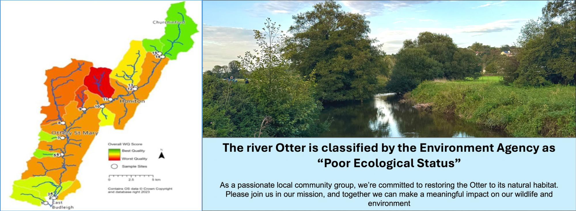 The river Otter is classified as "Poor Ecological Status"